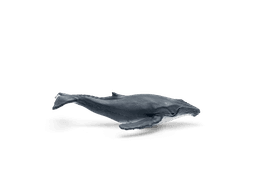 Tonie-Figur Wale & Delfine / Geheimnis Tiefsee aus der Serie WAS IST WAS